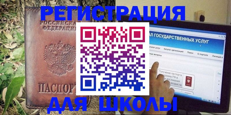 прописка для школы в Домодедово